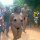 (Photos) Cheating couple forced to walk naked in Benue state